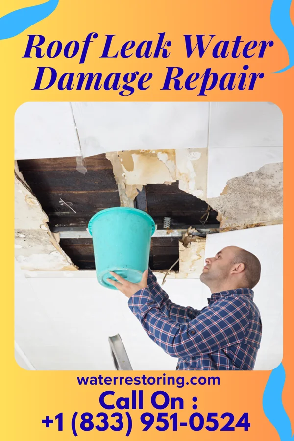 Roof Leak Water Damage Repair in McRoberts, KY