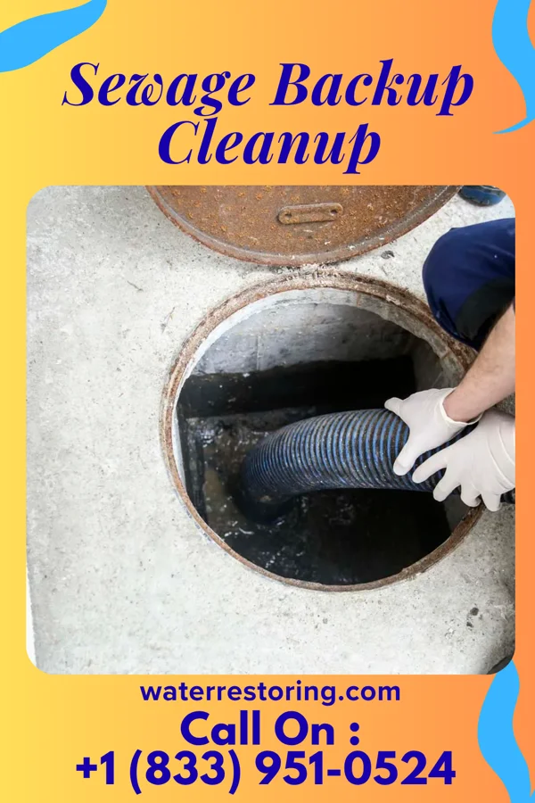 Sewage Backup Cleanup in McRoberts, KY