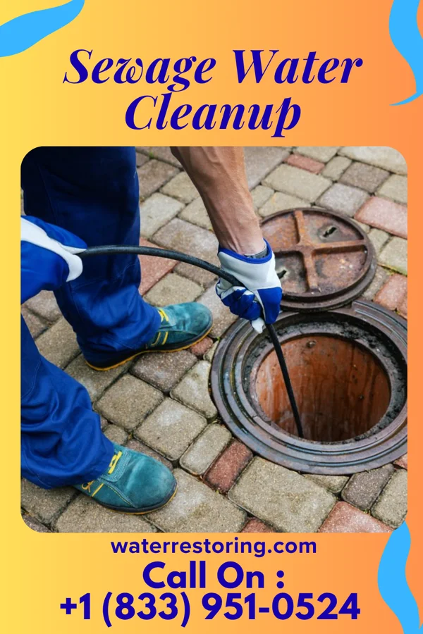 Sewage Water Cleanup in McRoberts, KY
