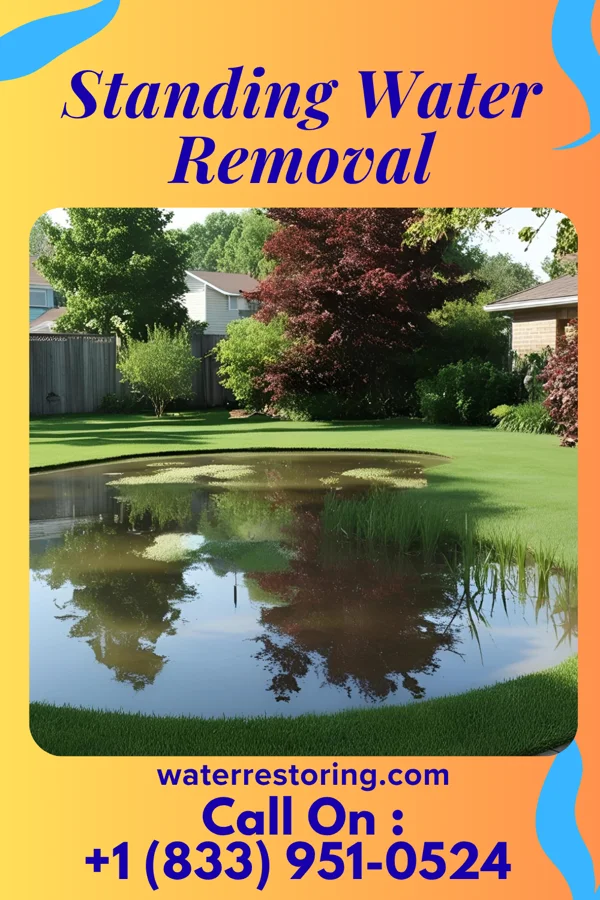 Standing Water Removal in McRoberts, KY
